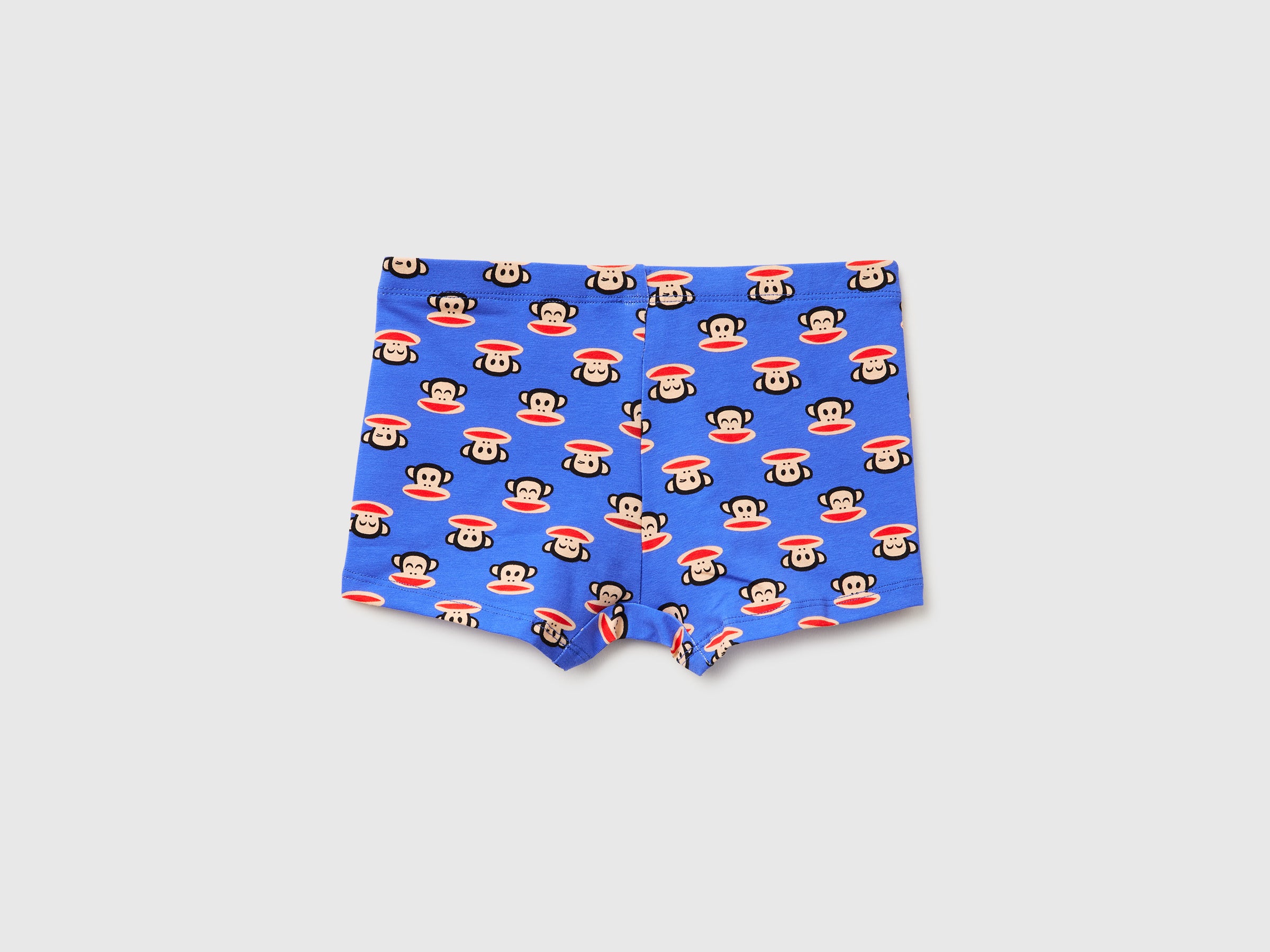 Boxer Paul Frank - ucb_image_BS